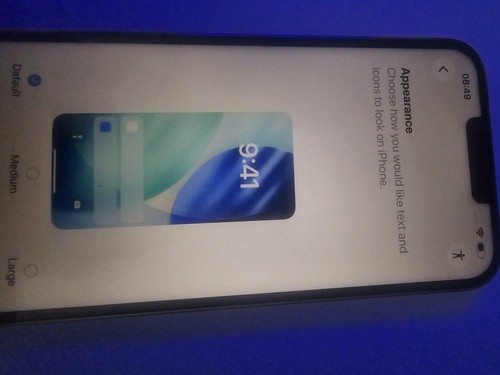 Apple iphone pro max - 13,
