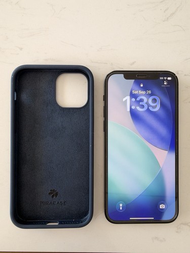 Apple iphone unlocked any - 12,